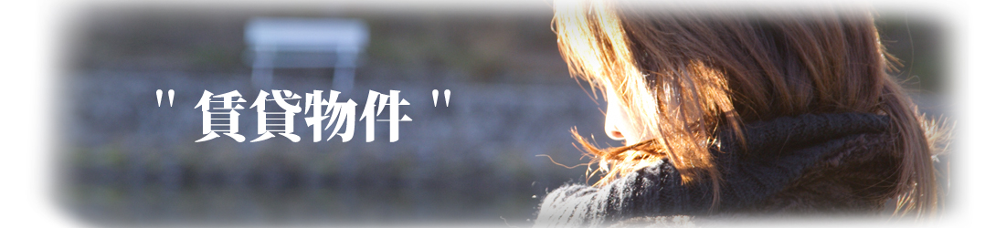 ���ݕ���